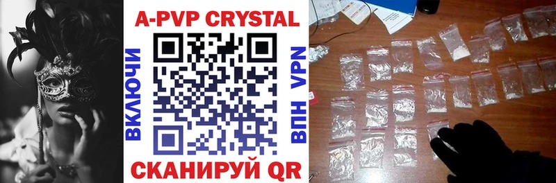 как найти Светогорск Alpha PVP СК КРИС