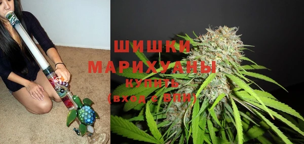 гидропоника Белоозёрский
