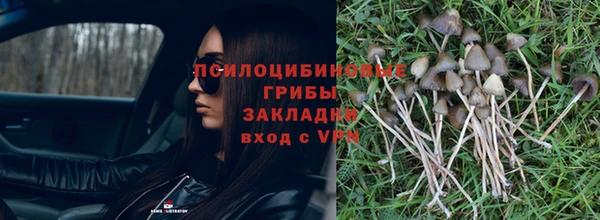 гидропоника Белоозёрский